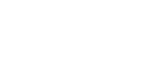 Stellwagen Group Stellwagen Group Logo
